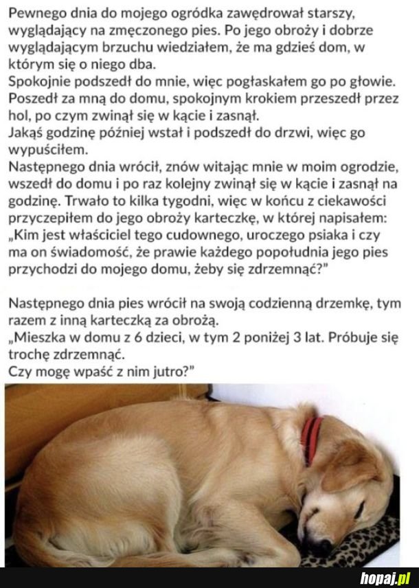 Nie dziwię się mu