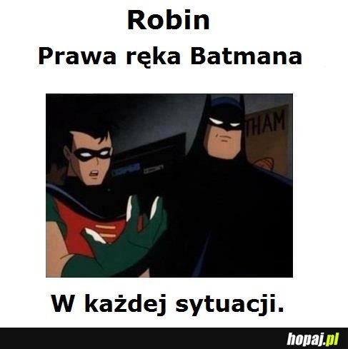 Robin.
