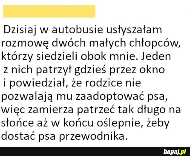 Podsłuchana rozmowa w autobusie