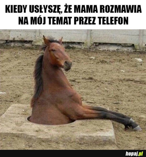 CIEKAWE O CO CHODZI