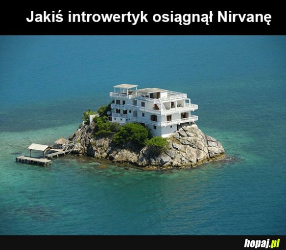 Introwertyk