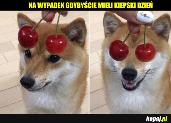 CO JA PACZE