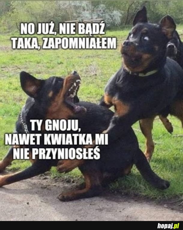 Dzień kobiet 