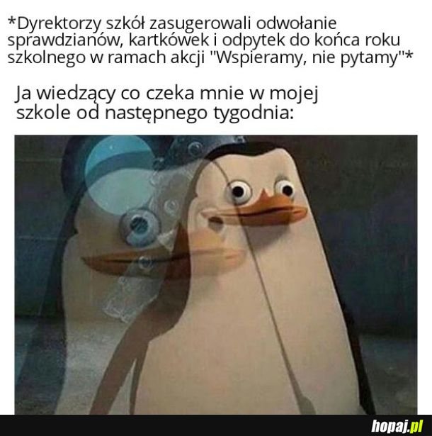 Szkoła