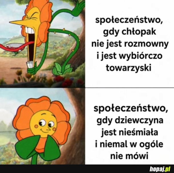 Nieśmiałość