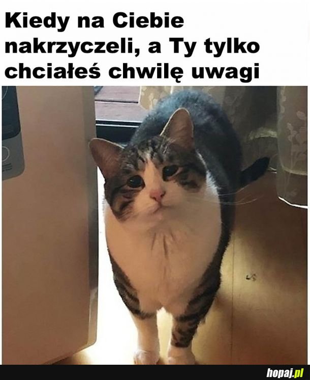  I tak cały czas