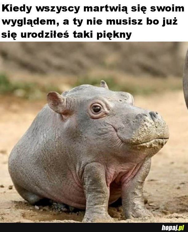 Piękno