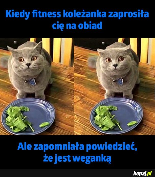 NIENORMALNA KOLEŻANKA