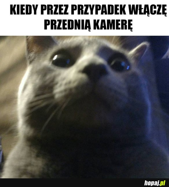 NIE TO CHCIAŁEM ZOBACZYĆ