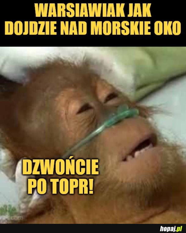 Wyjątkowo trudna wyprawa. 