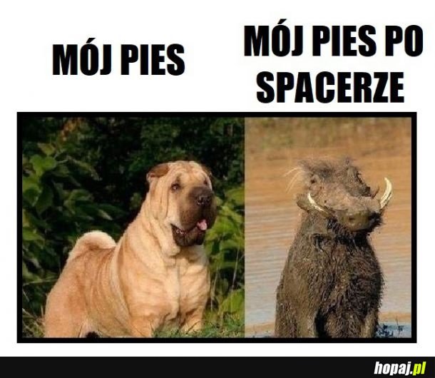 Po spacerze