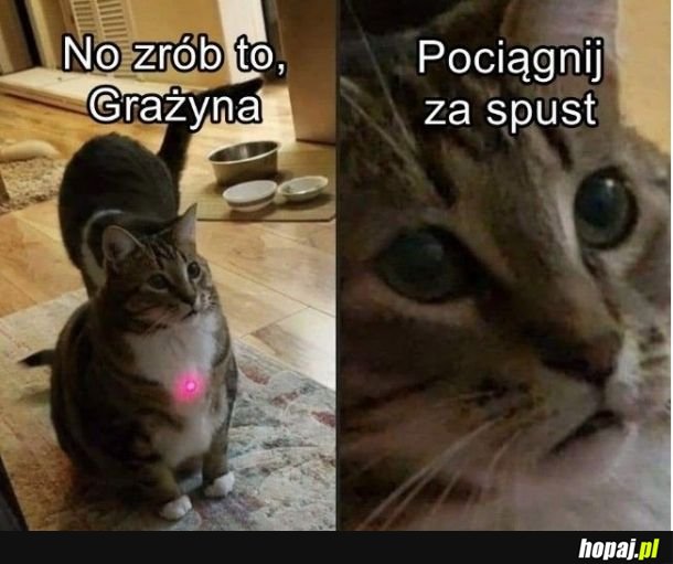 :d