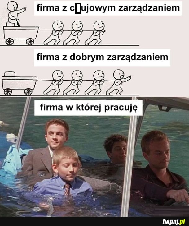 Firma w której pracuję