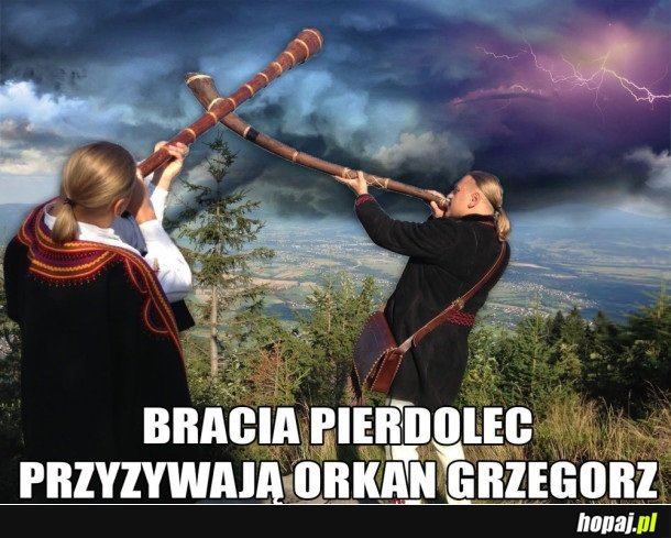 ORKAN GRZEGORZ