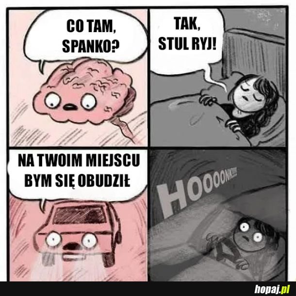 Mózgu co ty robisz