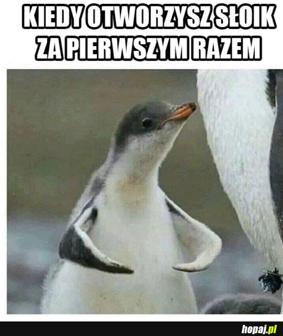 JESTEM SIŁACZEM