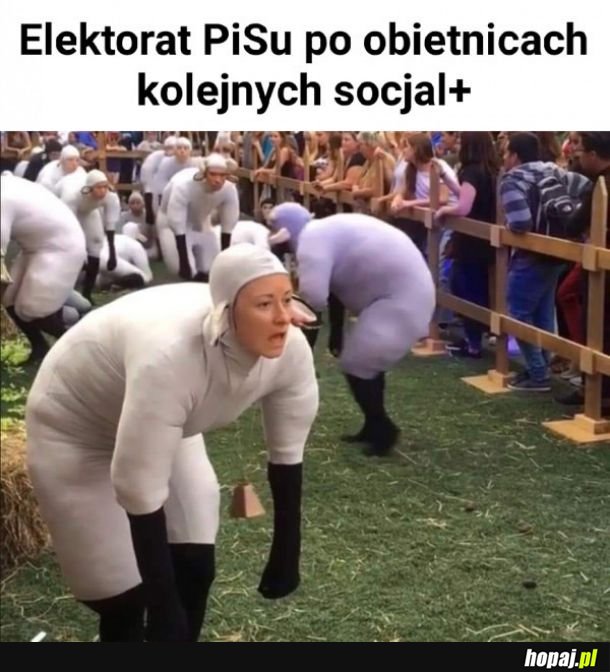 Eloktorat PiSu