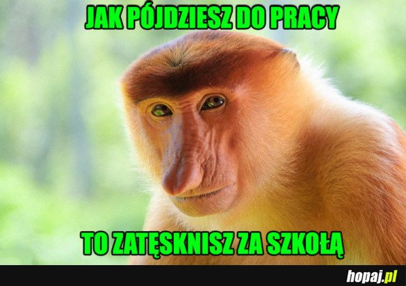 POLAK