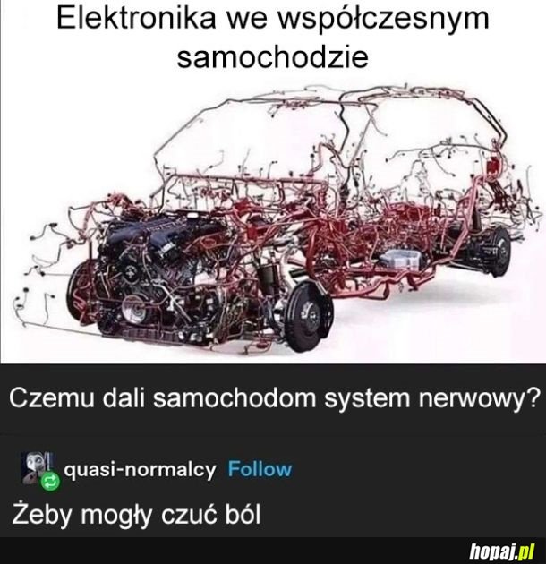 System nerwowy samochodu