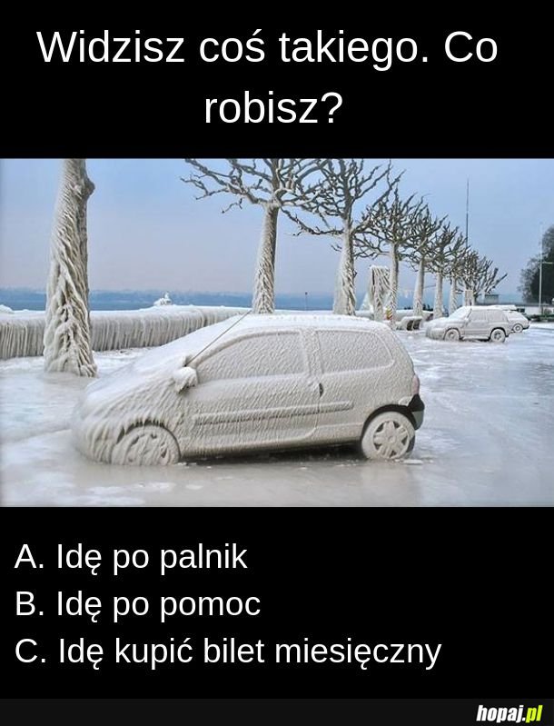 Co robisz?