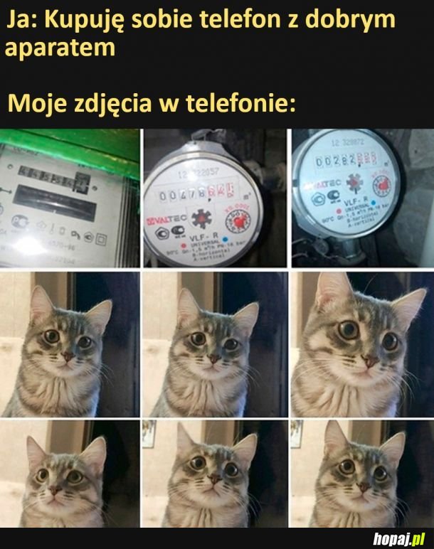 Zdjęcia
