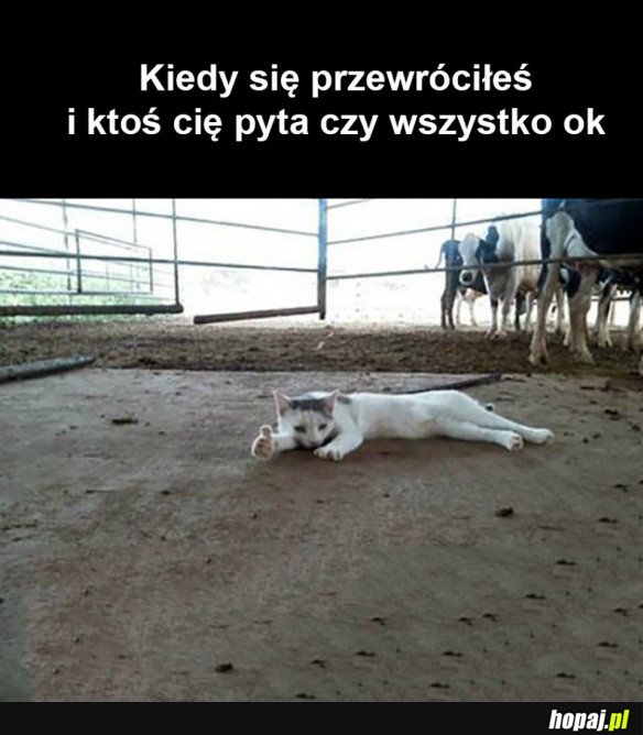 JEST DOBRZE