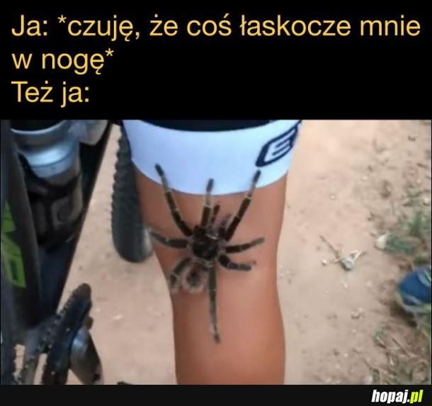 Za każdym razem