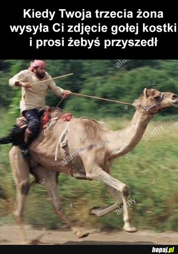 JUŻ PĘDZĘ