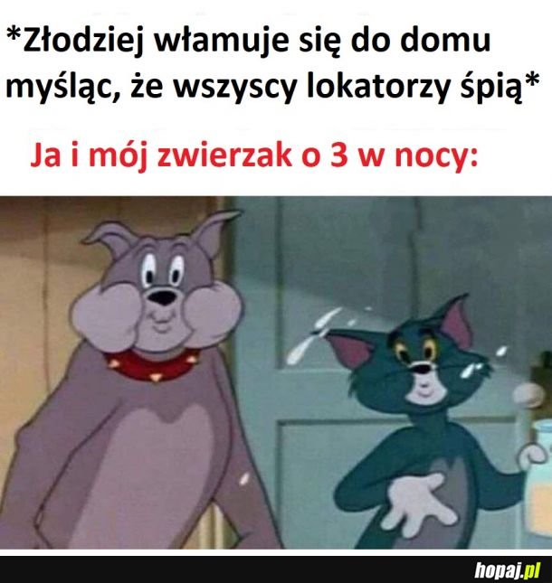 Uszanowanko