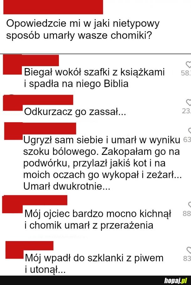 Jak umarły wasze chomiki?