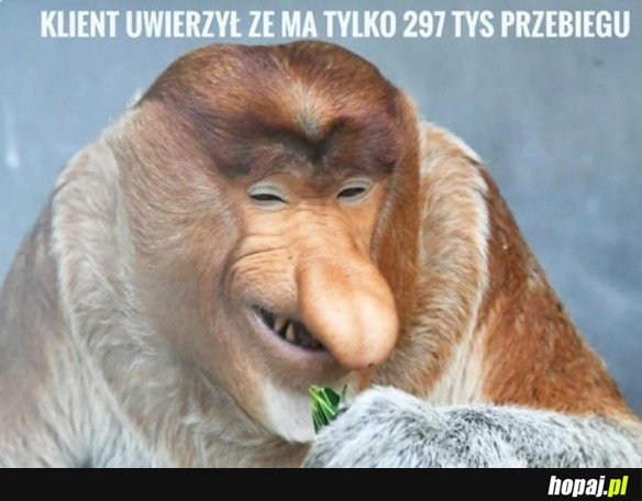 MIREK HANDLARZ