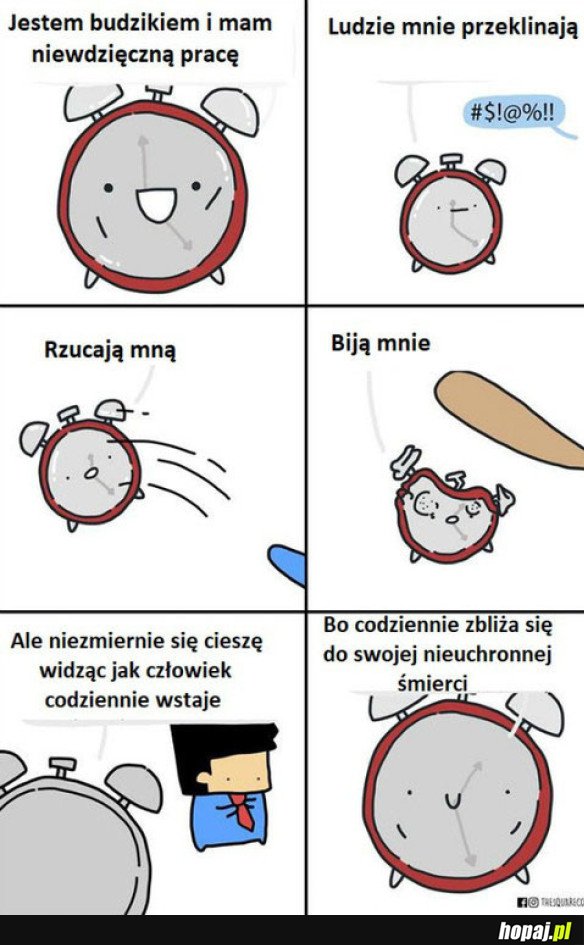 BUDZIK