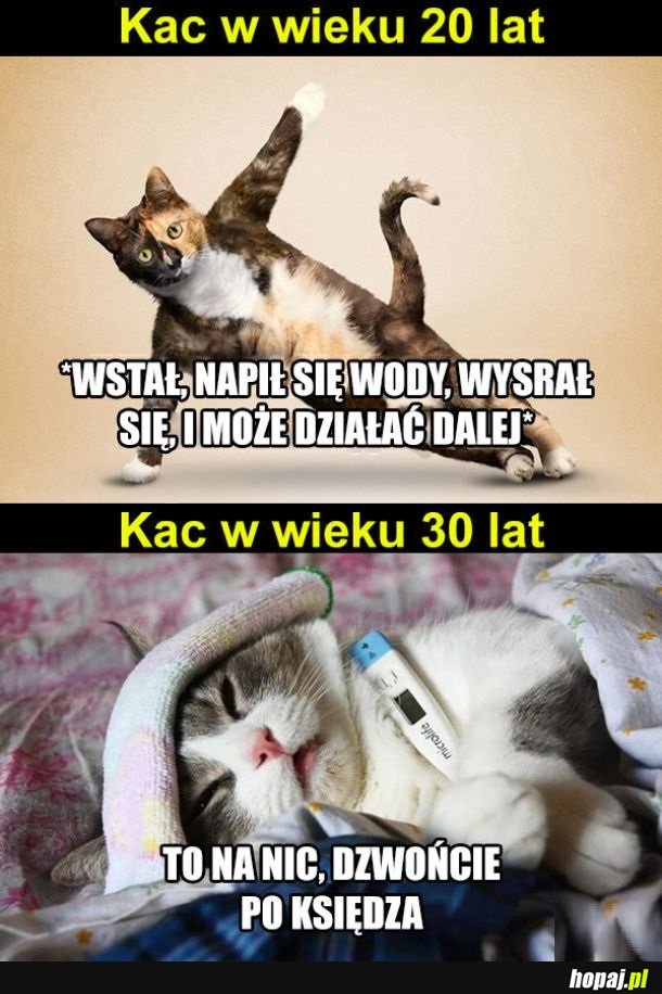 Kac ewoluuje