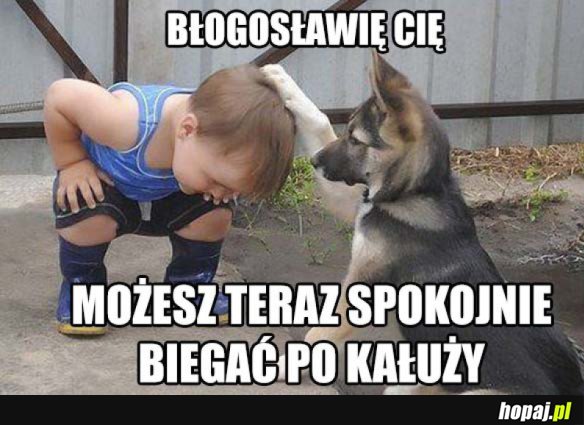 Już możesz...