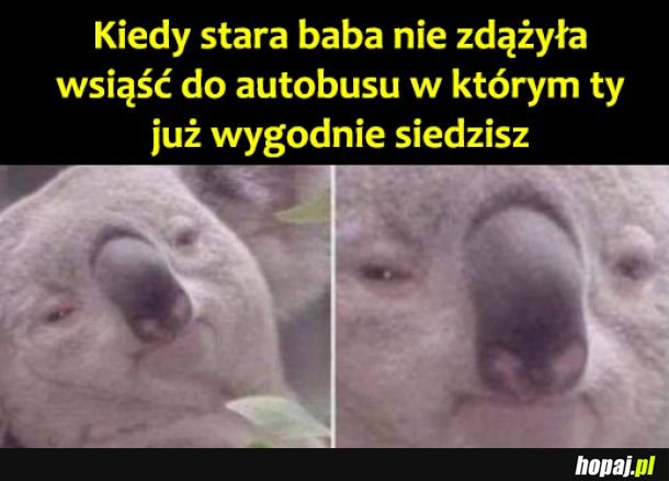 Żegnaj niewiasto