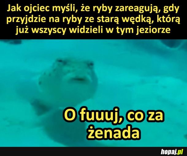 żenada