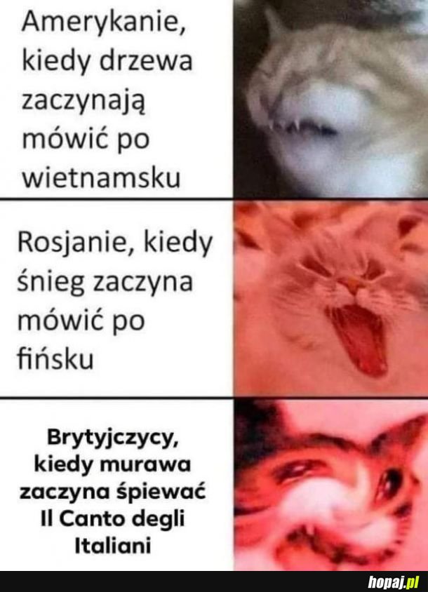Brytyjczycy