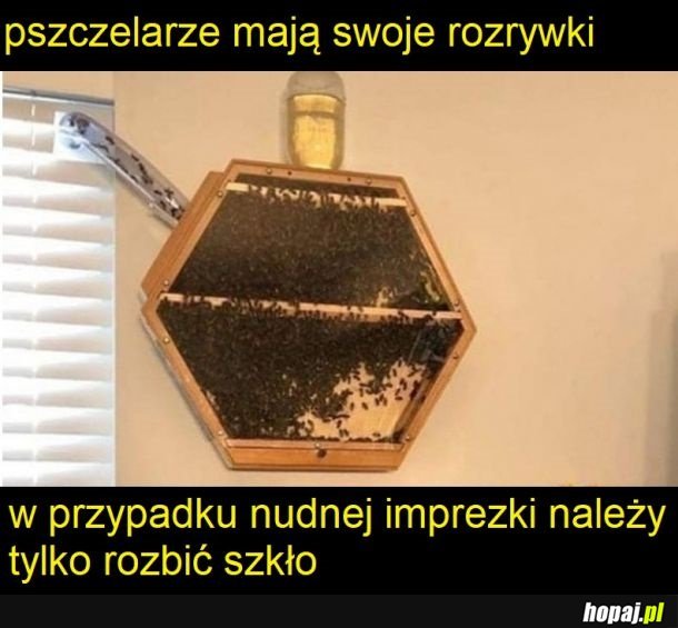 Wesoło instant