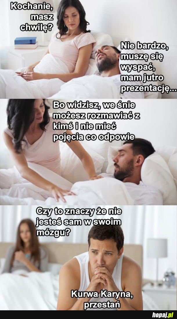 Logika lasek