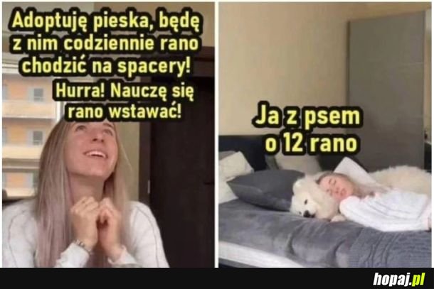 Śpiochy