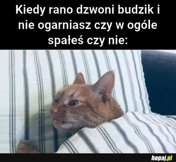 Kiedy rano dzwoni budzik