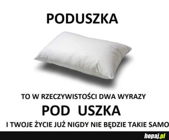 MÓZG ZNISZCZONY!