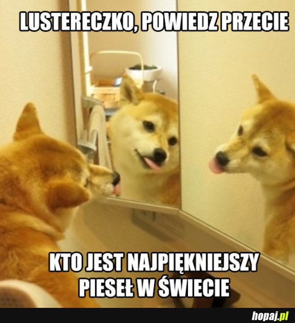 TYŚ PIESEŁ