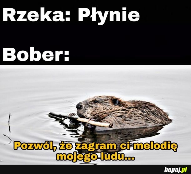 Buber...