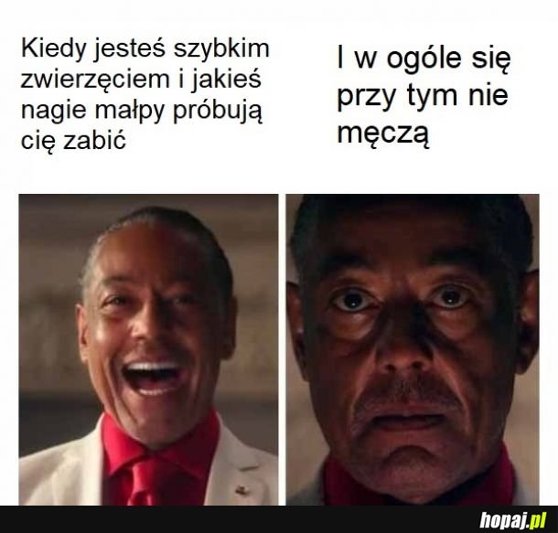 Z homo nie ma żartów