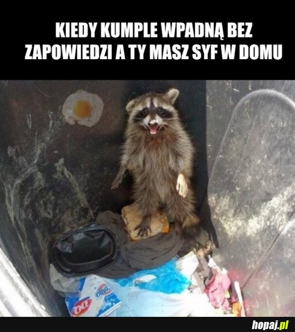 KIEDY KUMPLE WPADNĄ BEZ ZAPOWIEDZI