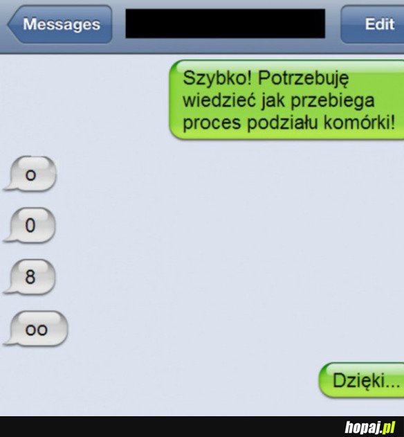 NO I WYTŁUMACZYŁ