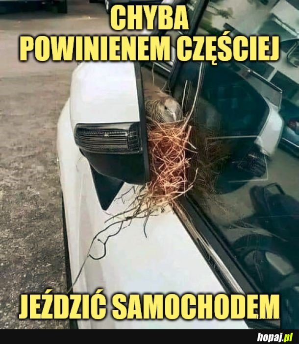 Chyba tak.