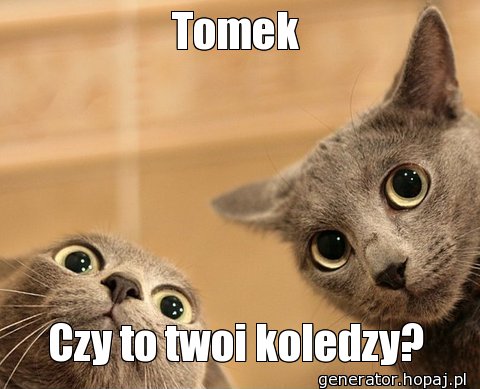 Tomek