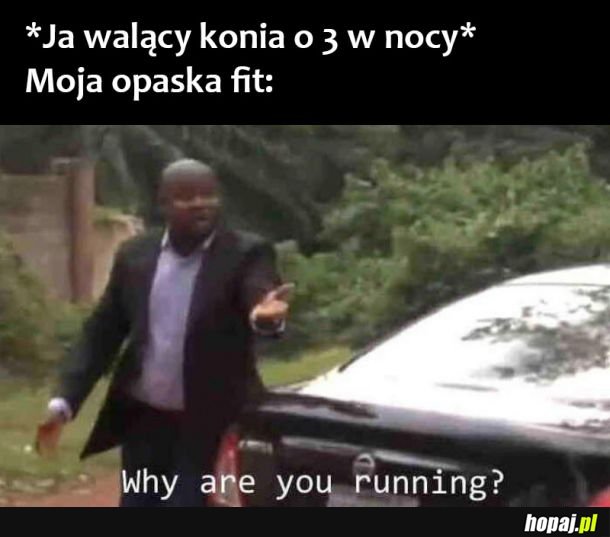  Opaska